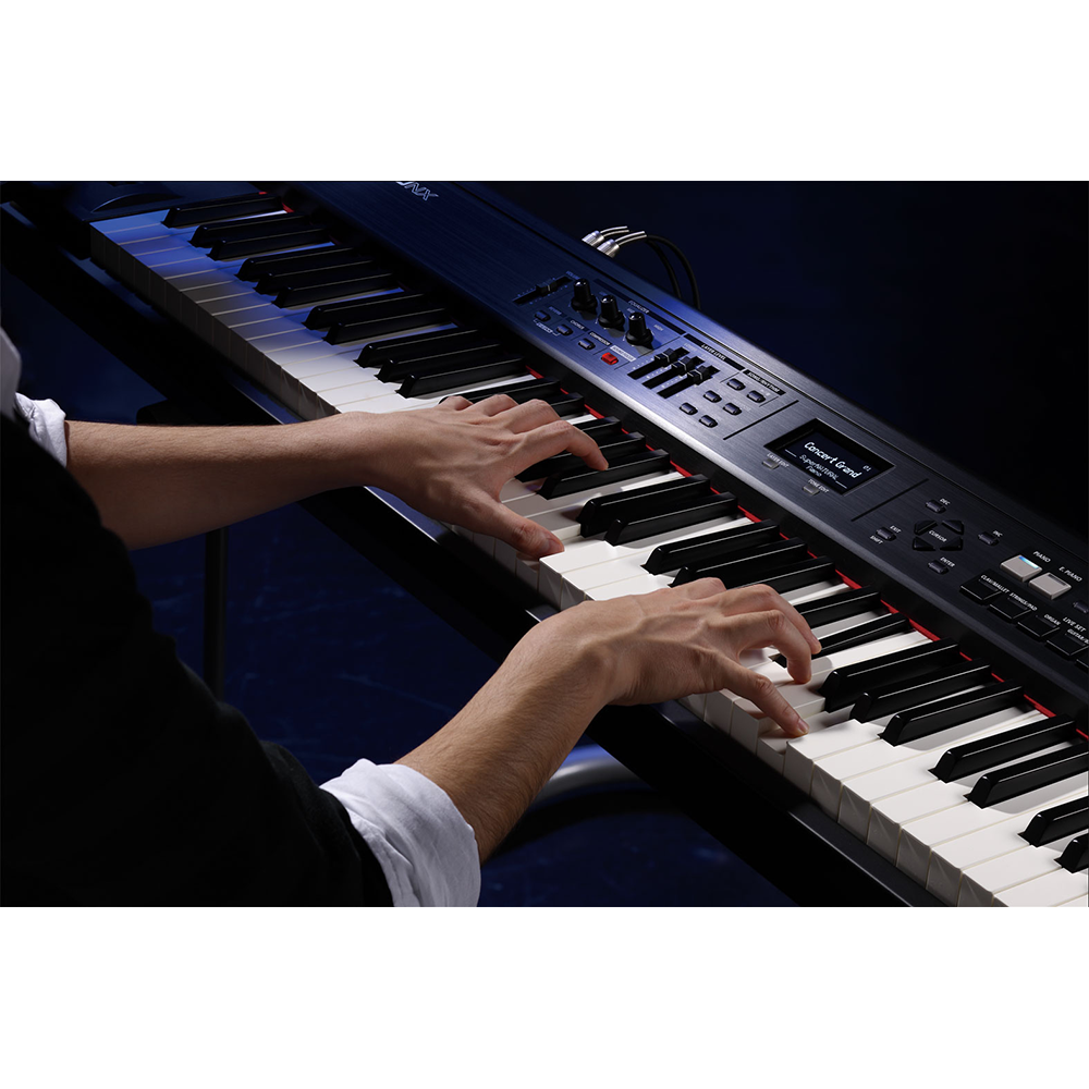 RD-300NX演奏イメージ