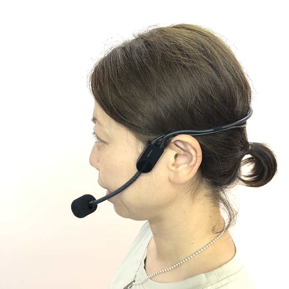 shure-hs